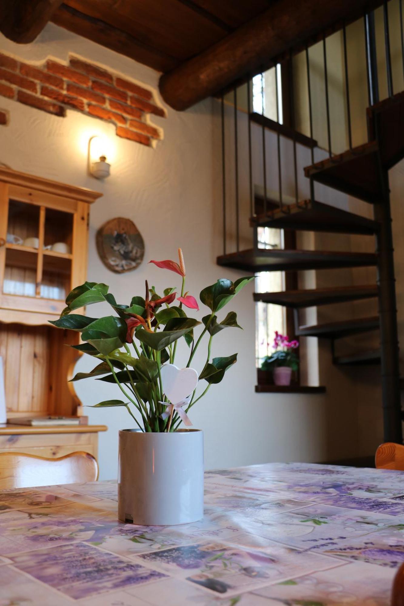Casa Vacanze Le Primule Peveragno Dış mekan fotoğraf