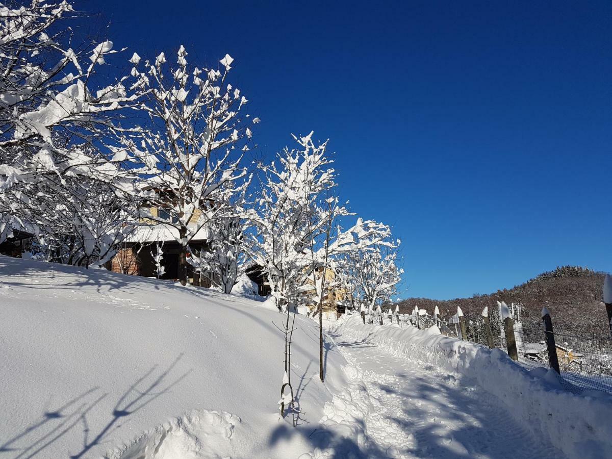 Casa Vacanze Le Primule Peveragno Dış mekan fotoğraf