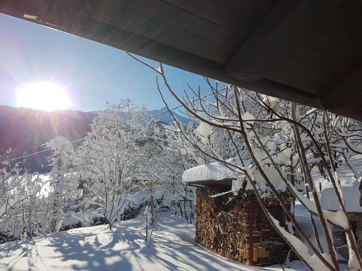 Casa Vacanze Le Primule Peveragno Dış mekan fotoğraf