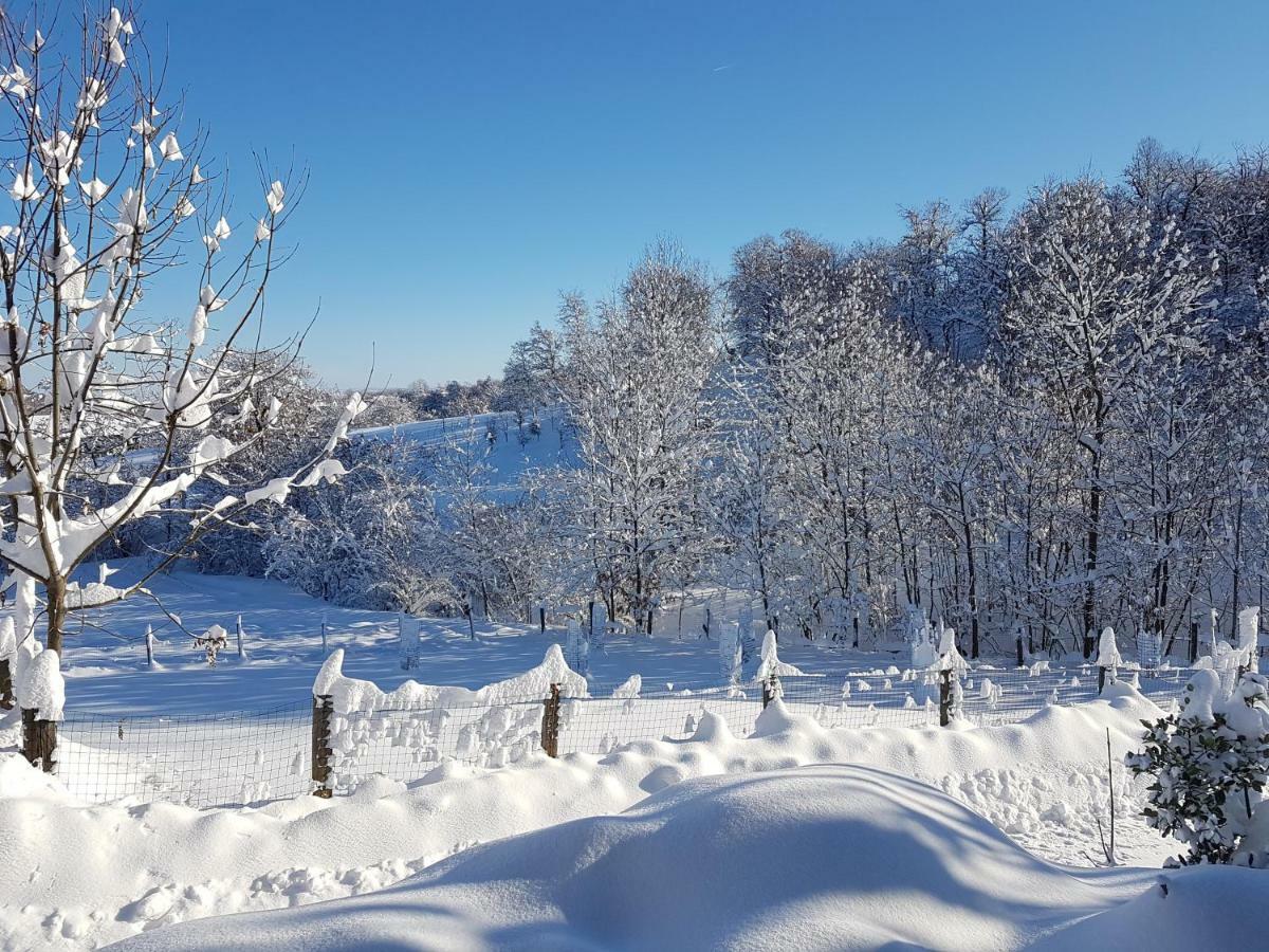Casa Vacanze Le Primule Peveragno Dış mekan fotoğraf