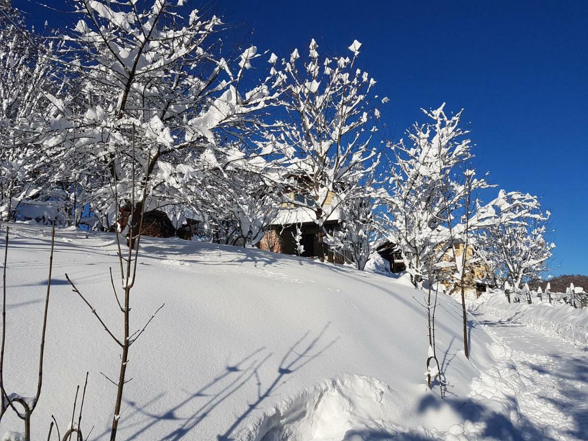 Casa Vacanze Le Primule Peveragno Dış mekan fotoğraf